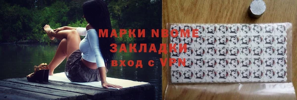 хмурый Бородино