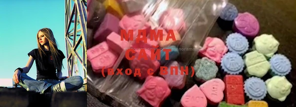 ГАЛЛЮЦИНОГЕННЫЕ ГРИБЫ Верея