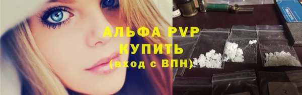 стаф Бронницы