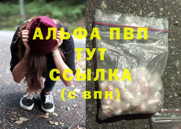 стаф Бронницы