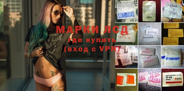 хмурый Бородино