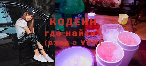 хмурый Бородино