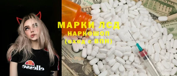 ГАЛЛЮЦИНОГЕННЫЕ ГРИБЫ Верея