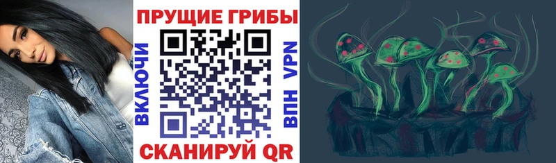 Галлюциногенные грибы мицелий Кисловодск